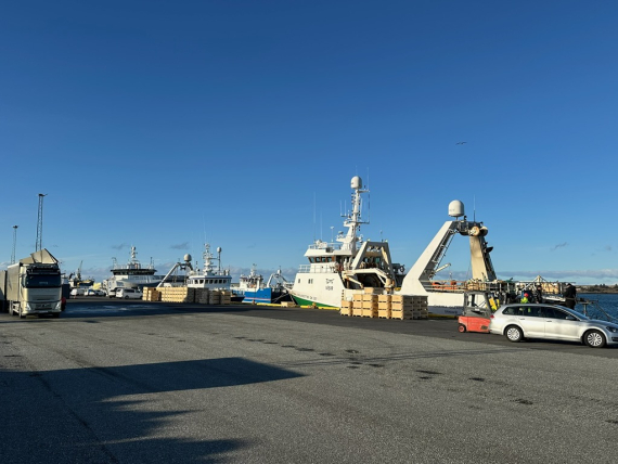 Ársæll - Birtingur og Jóhanna Gísladóttir, fiskiskip í höfn sem Kæling Víkurafl er að þjónusta.