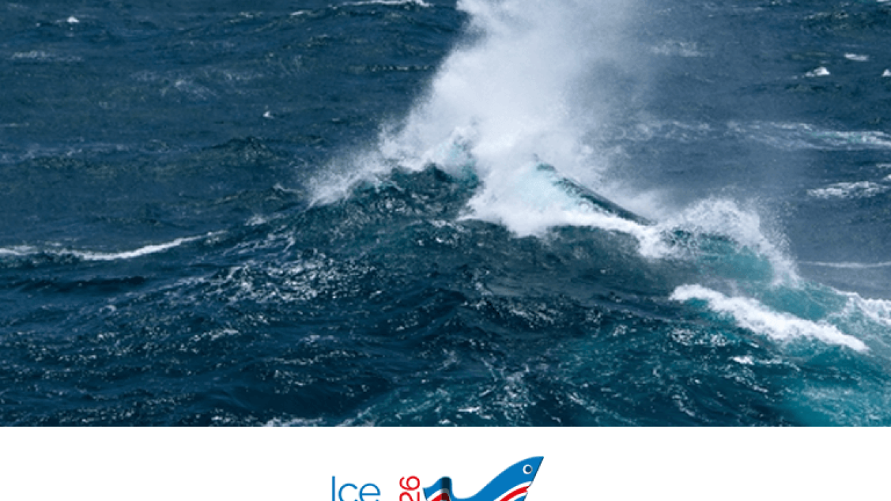 Kæling Víkurafl verður á IceFish 2026
