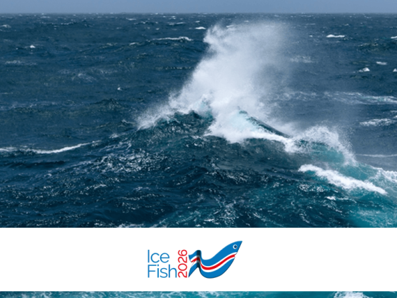 Kæling Víkurafl verður á IceFish 2026